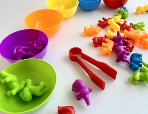 Animal Colour Sorting and Fine Motor Game